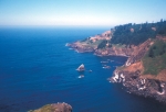 Sea- Coast, Lions