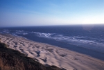 Sea- Coast, Lions