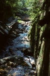 The Flume