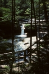 Lower Falls