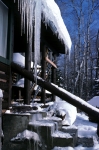 X-Ctry Skiing, Snow Shoeing