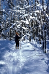 X-Ctry Skiing, Snow Shoeing