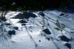 X-Ctry Skiing, Snow Shoeing
