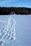 X-Ctry Skiing, Snow Shoeing