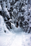 X-Ctry Skiing, Snow Shoeing