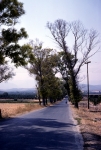 On the road