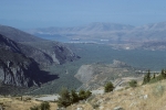 Ten million olive trees