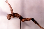Acrobat