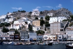 Hydra