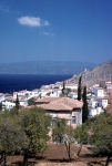 Hydra