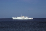 The boat
