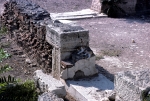 Cat among ruins