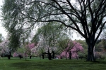 PF in May