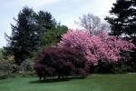 PF in May