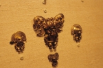 Gold of the Eldorado, AMNH