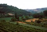 Tuscan countryside