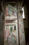 Fresco in Sta. Croce