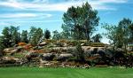 Rock garden