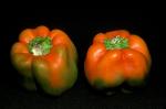 Veggies