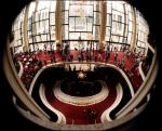 My first fisheye lens