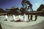 Wedding party