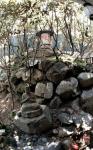 Rock garden