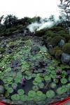 More fumaroles