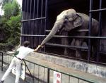 Beppu zoo