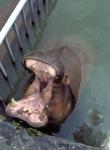 Beppu zoo