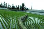 Walk around countryside of Beppu