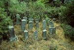 Walk around countryside of Beppu