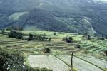 Bus ride across Kyushu island