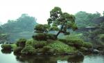 Suizen-ji Park in Kumamoto