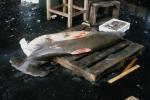Nagasaki fish market - no odor!