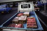 Nagasaki fish market - no odor!
