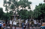 Houses