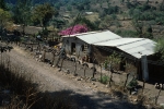 Rural scenes