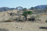 Rural scenes