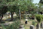 Gardens
