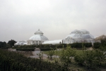 NYBG - May 1980