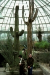 NYBG - May 1980