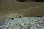 Looking down