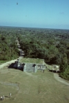 Road to cenote