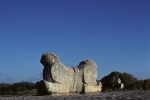 Uxmal at sunset - jaguar