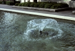 Trip to Dallas - May 1980