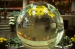 Crystal ball?