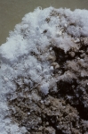 Badwater