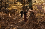 Nov. 1980 - foliage