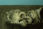 Guatemala City - Archeology Museum
