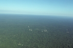 Tikal from the air
